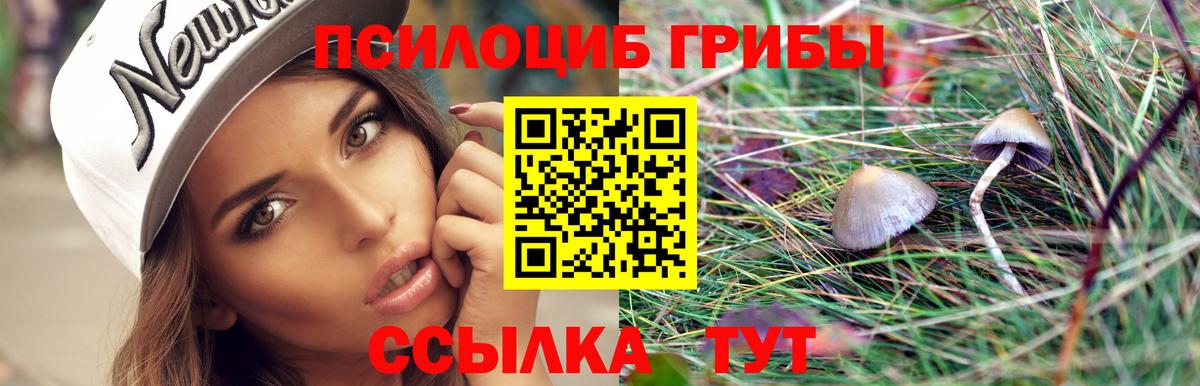 Галлюциногенные грибы мухоморы  Вход с VPN  Камышин  Псилоцибиновые грибы Cubensis 