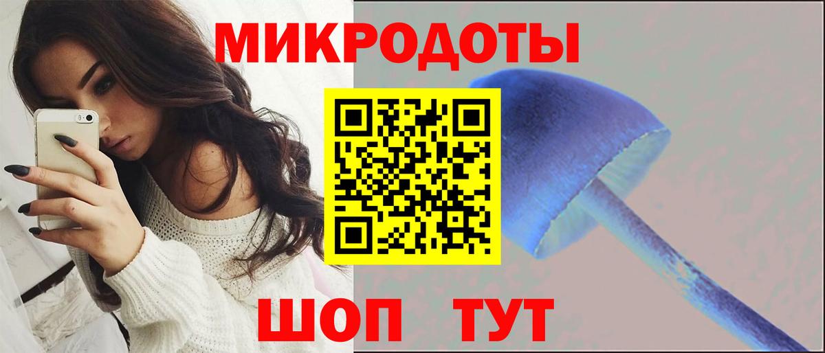 Псилоцибиновые грибы мицелий Камышин