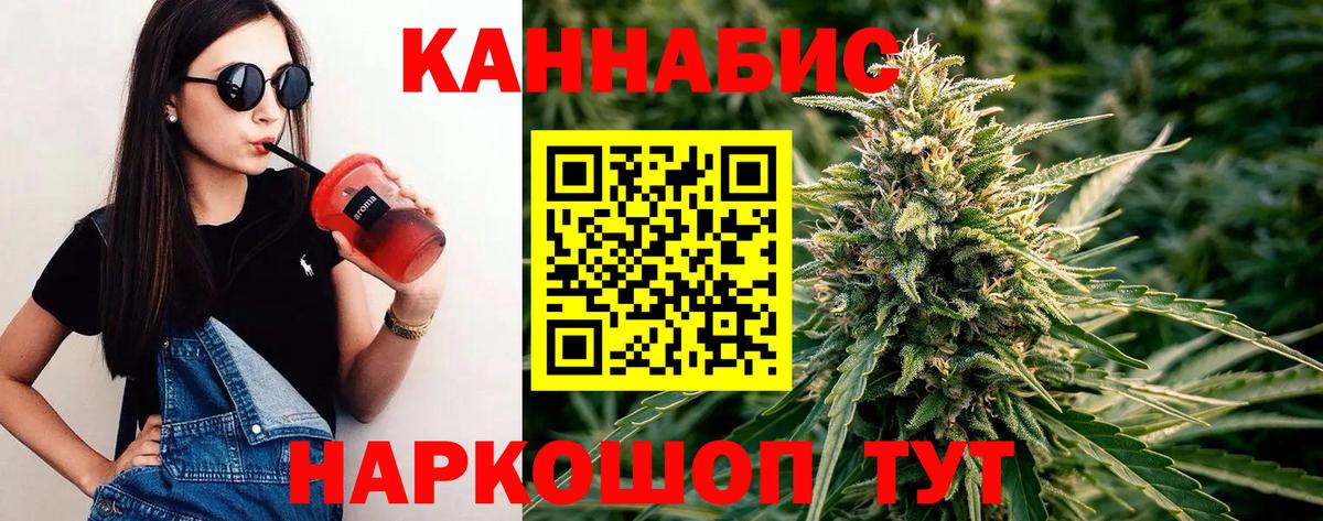 МАРИХУАНА сатива Камышин